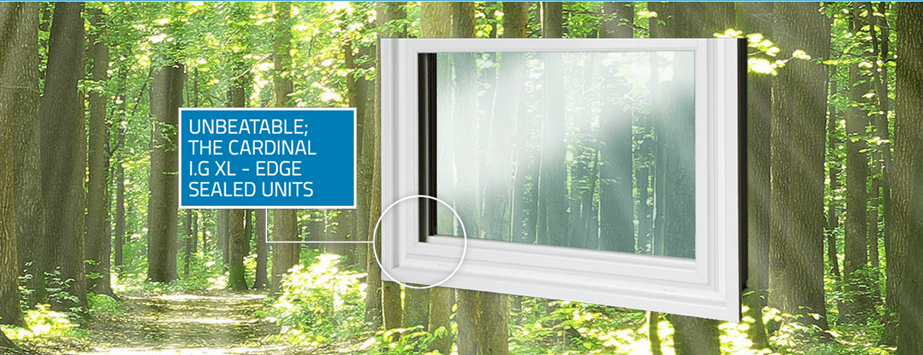 Window in forest with text overlay.