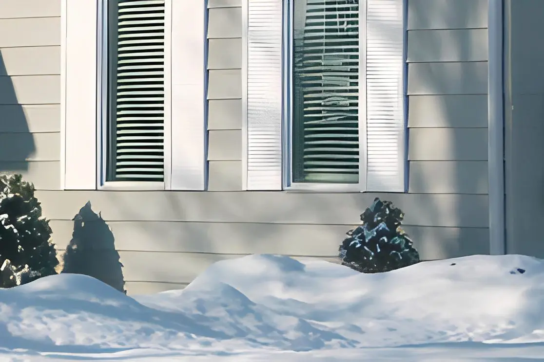 House windows with snow-covered bushes outside.